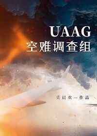 UAAG空難調查組小说封面