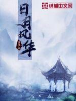 日月風華小說封面
