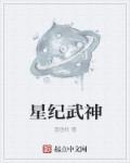 星紀武神小說完整版封面