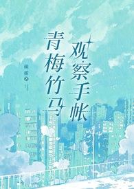 青梅竹马观察手帐山石灰