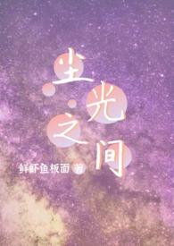 尘埃之光