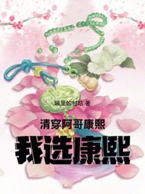 清穿阿哥康熙我选康熙免费阅读