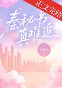 秦谜电子书免费阅读