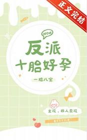 反派十胎好孕全文