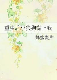重生年轻十岁后扳直小狼狗