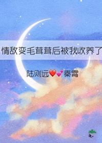 情敌变成了我的猫怎么破在线等急