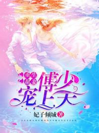 重生甜妻傅少宠上天类似