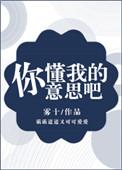 你懂我的意思吧英文翻译