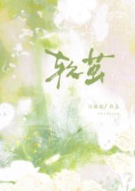 软茧讲什么
