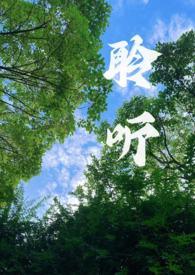 聆听网
