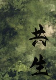 共生讲的啥