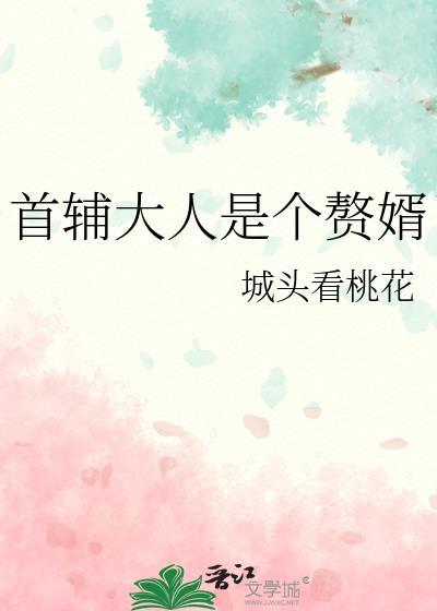 首辅大人是什么意思