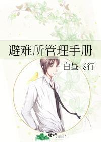 避难所系统详解
