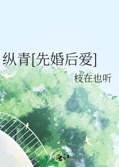 纵情番外