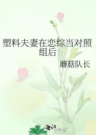 塑料夫妻了解一下番外