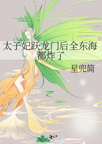 太子妃 lv