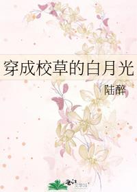 穿成校草白月光十三豆蔻
