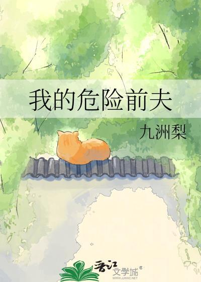 我的危险夫人全文免费
