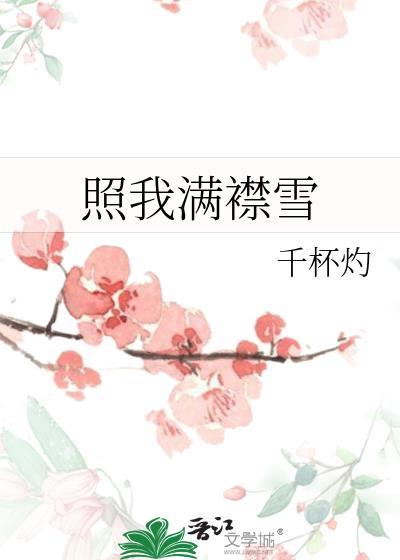 照我满襟雪全文免费阅读