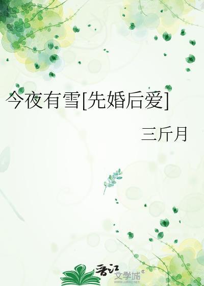 今夜有雪先婚后爱by三斤月免费阅读