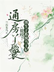 通房丫鬟生的孩子叫什么