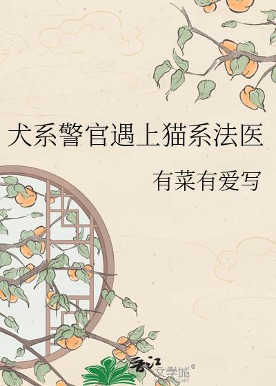 犬系与猫系