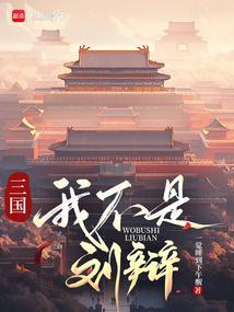 穿越到刘辩的三国与刘辩为敌