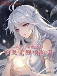 帝天觉醒模拟器