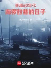 穿越60年代南锣鼓巷的日子免费阅读