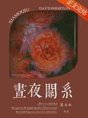 昼夜关系晋江文学城