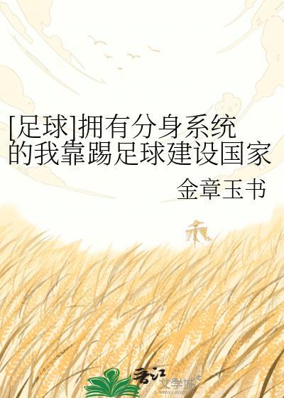 足球有系统的