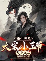 天龙八部之大宋小王爷
