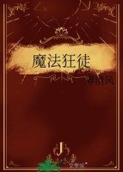 魔法狂徒讲了什么