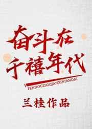 奋斗在黄金年代txt