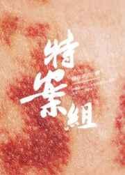 特殊案件调查组v易容术九txt