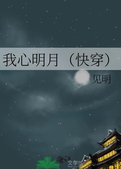 我心明月快穿txt