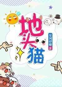 地头猫全本TXT