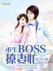 重生boss撩妻忙优沵