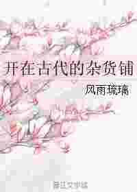 开在古代的杂货铺48