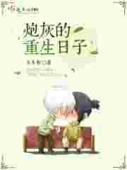 炮灰重生记讲的什么故事