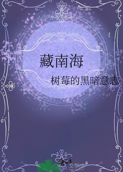 藏南海拔多少