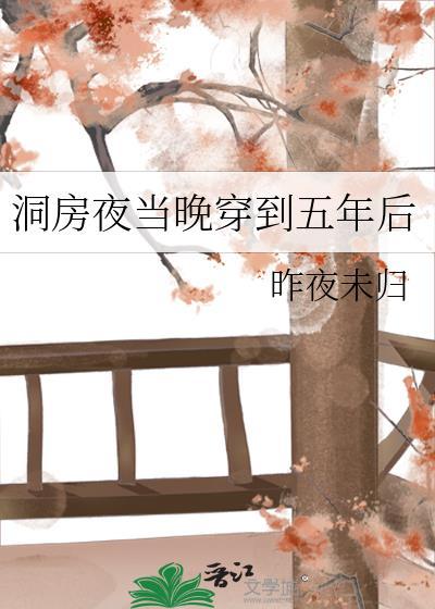 穿到洞房花烛夜以后番外