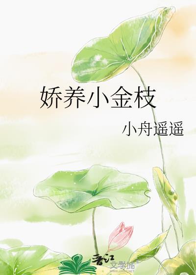 娇养小金枝 番外