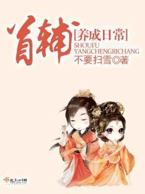 首辅养成指南
