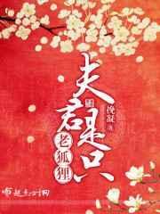 夫君是只狐狸精免费阅读