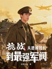 德械事抗战