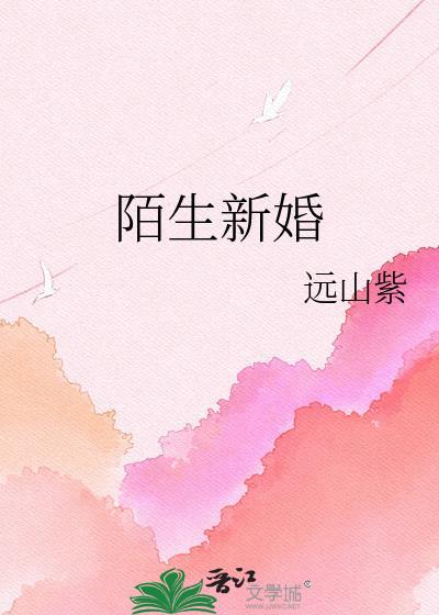 陌生新婚txt