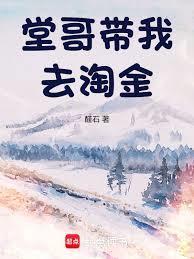 堂哥带我去淘金奇书网
