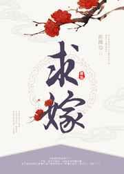 求嫁亡夫卫妃沈将军太子