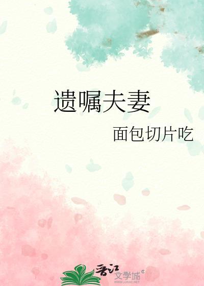 遗嘱夫妻by面包切片txt